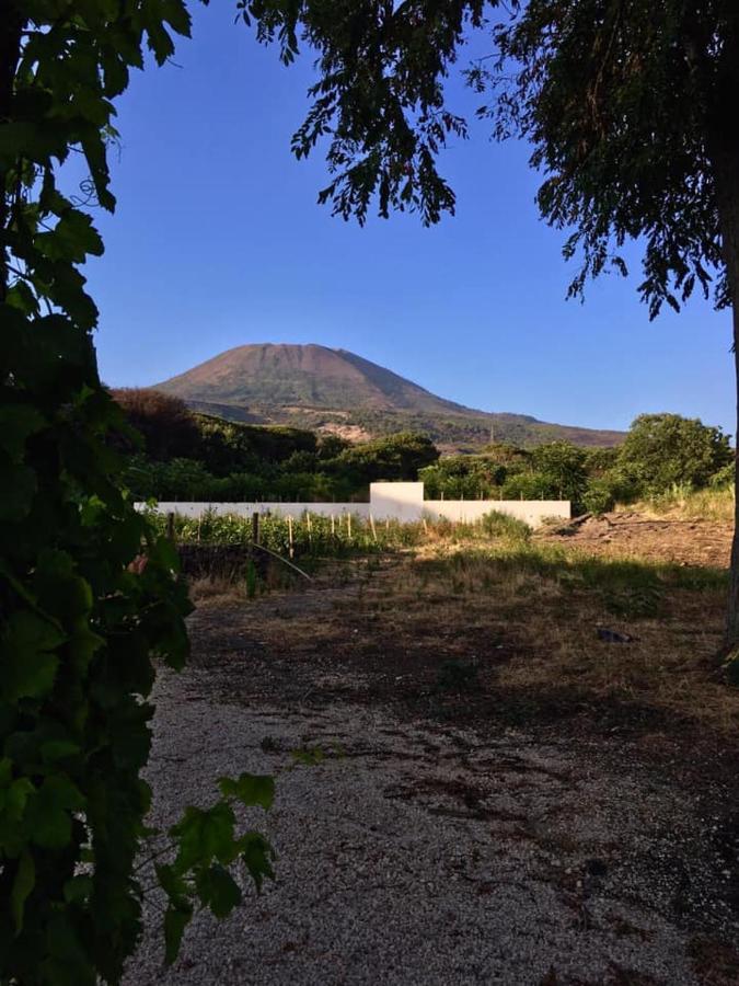 Villa Mazza Al Vesuvio Torre del Greco Exteriör bild