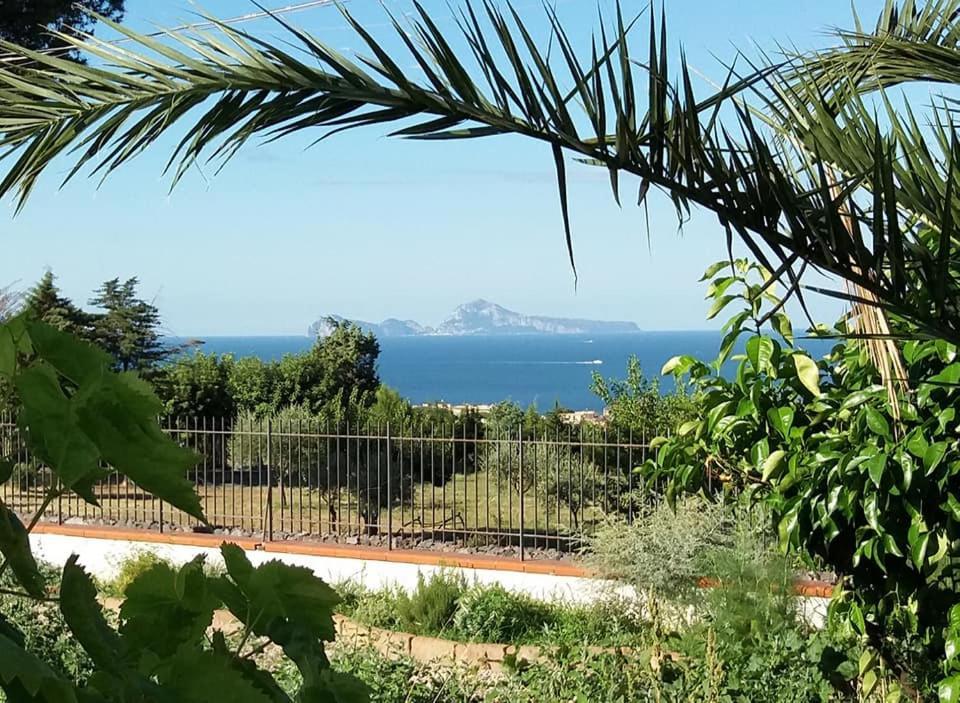 Villa Mazza Al Vesuvio Torre del Greco Exteriör bild